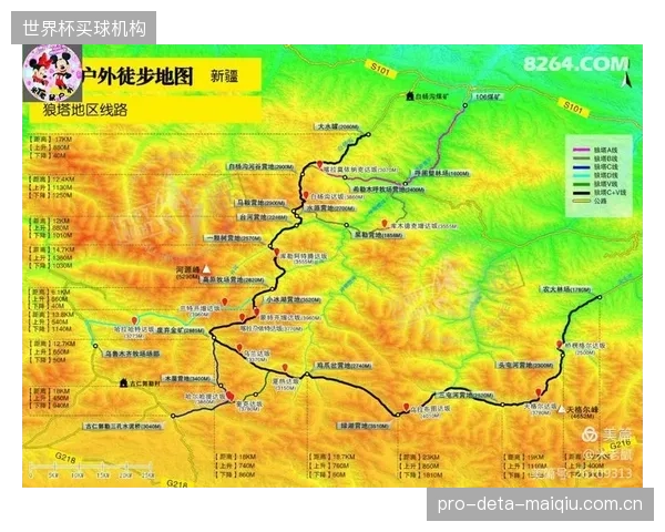 约旦队已形成不对称反击路径依赖，塔马里在左路的活动热区将是战术发起点。
