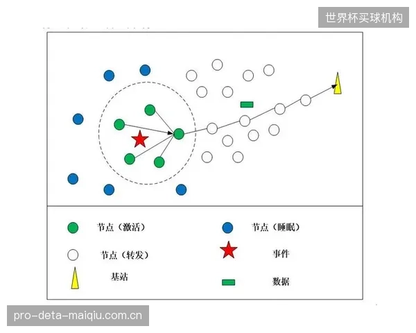 完全数据驱动的训练，是否正在剥夺运动员对自身身体的感知权？